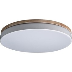 Светильник Loft IT Потолочный светодиодный Axel 10001/36 white