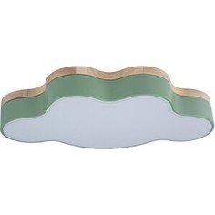 Светильник Loft IT Потолочный светодиодный Axel 10005/30 green