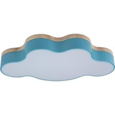 Светильник Loft IT Потолочный светодиодный Axel 10005/30 blue