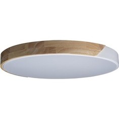 Светильник Loft IT Потолочный светодиодный Axel 10004/36 white