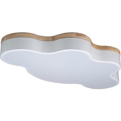 Светильник Loft IT Потолочный светодиодный Axel 10005/36 white
