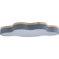 Светильник Loft IT Потолочный светодиодный Axel 10005/36 grey