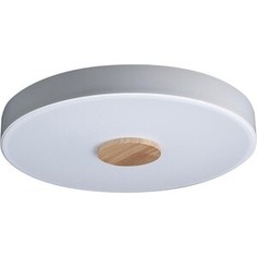 Светильник Loft IT Потолочный светодиодный Axel 10003/24 white