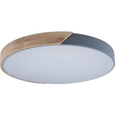 Светильник Loft IT Потолочный светодиодный Axel 10004/36 grey