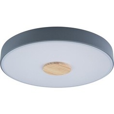 Светильник Loft IT Потолочный светодиодный Axel 10003/24 grey