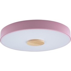 Светильник Loft IT Потолочный светодиодный Axel 10003/24 pink