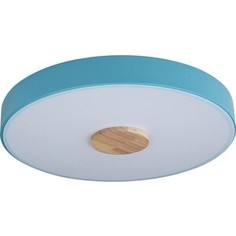 Светильник Loft IT Потолочный светодиодный Axel 10003/24 blue