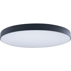 Светильник Loft IT Потолочный светодиодный Axel 10002/48 black