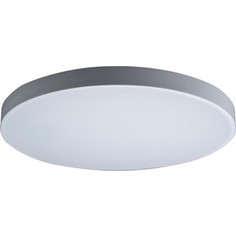 Светильник Loft IT Потолочный светодиодный Axel 10002/48 white