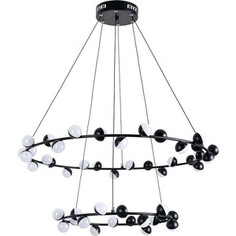 Светильник Arte Lamp DEXTER A3619SP-48BK