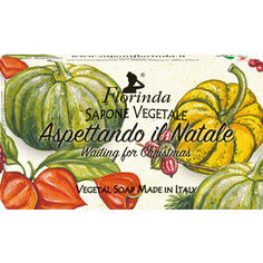 Мыло FLORINDA Aspettando IL Natale / Ожидание Рождества 100 г
