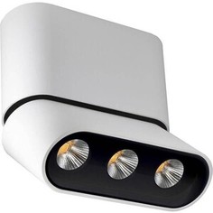 Светодиодный спот Lumien Hall Фергус 8005/3CS-WT-BK