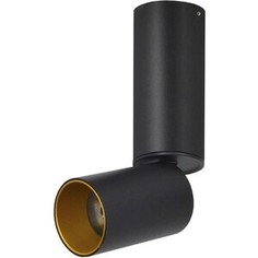 Светодиодный спот Lumien Hall Торин 8001/1CS-BK-GD