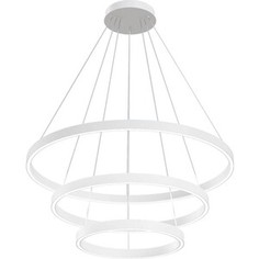 Светильник Maytoni Подвесной светодиодный Rim MOD058PL-L100W4K