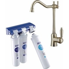 Смеситель для кухни Kaiser Vincent c фильтром Барьер Эксперт, бронза (31944-1-BWT)