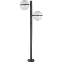 Светильник Odeon Light Уличный Lomeo 4832/2F
