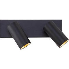 Спот Eurosvet Светодиодный Fleur 20066/2 LED черный/золото