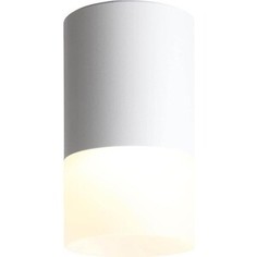 Светильник ST-Luce Потолочный светодиодный Ottu ST100.502.05