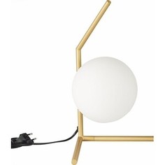 Настольная лампа ST-Luce Codda SL1148.314.01