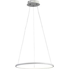 Светильник ST-Luce Подвесной светодиодный Erto SL904.503.01