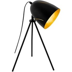 Настольная лампа Eglo 43007