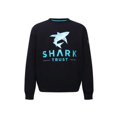 Хлопковый свитшот Paul&Shark