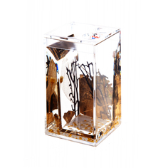 Стакан для зубных щёток Vanstore Aurum 7,5х7,5х11,5 см