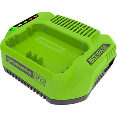 Зарядное устройство Greenworks 2932007