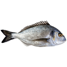 Рыба Дорадо, кг Noname