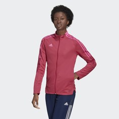 Олимпийка Tiro 21 adidas Performance