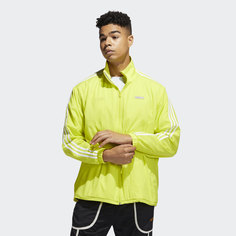 Олимпийка Reverse adidas Originals