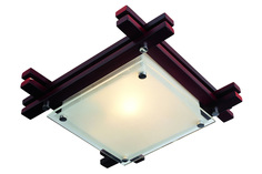 Светильник настенно-потолочный Edison Hoff