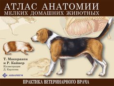 Атлас анатомии мелких домашних животных. (цвет. ) Аквариум Принт