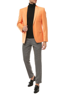 Пиджак мужской ABSOLUTEX 0141-1 RODERS оранжевый 46-176