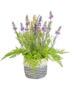 Gerard de ros Лаванда и папоротник в керамическом кашпо