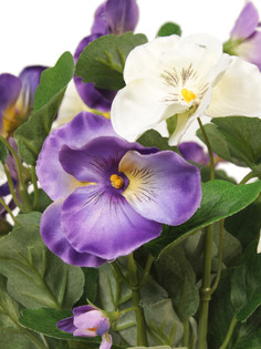 Анютины глазки в малом керамическом кашпо Папайя Gerard de ros