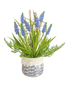 Мускарий и папоротник в керамическом кашпо Rustic 15-804/0 Gerard de ros