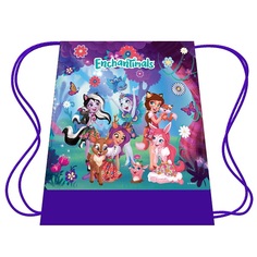 Сумка для обуви Enchantimals ENSDS-001