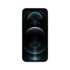 Смартфон Apple iPhone 12 Pro Max 512GB Silver (MGDH3RU/A)