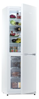 Холодильник Snaige RF31SM-S0002F0721