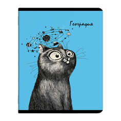 Тетрадь предметная Феникс+ География 56879