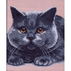 Канва с рисунком Матренин посад Британец 20*25см (28*37 см) 376-1