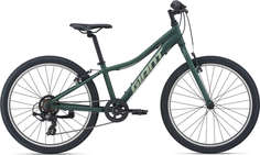 Подростковый велосипед Giant XtC Jr 24 Lite 2021 цвет Trekking Green рама One size