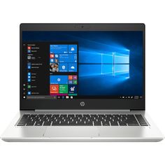Ноутбук HP ProBook 445 G7 Silver (175W4EA)