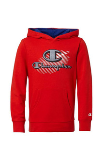 Толстовка Legacy Hooded Champion