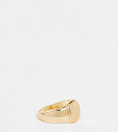 Эксклюзивное золотистое кольцо-печатка Vero Moda-Золотистый