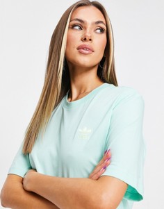 Футболка бойфренда мятного цвета с логотипом adidas Originals Adicolor-Зеленый цвет