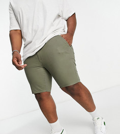 Шорты чиносы цвета хаки из органического хлопка Farah Hawk Plus-Зеленый цвет