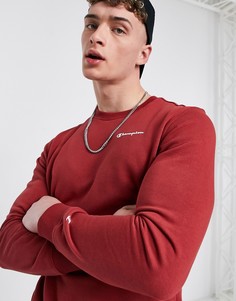 Бордовый свитшот с маленьким логотипом-надписью Champion-Красный