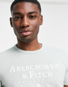 Светло-зеленая футболка с логотипом на груди Abercrombie & Fitch-Зеленый цвет